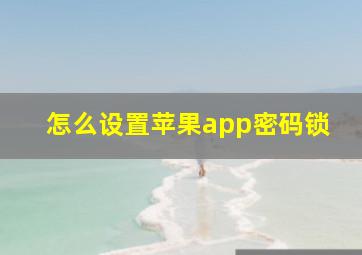 怎么设置苹果app密码锁