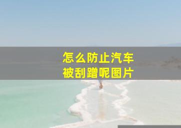 怎么防止汽车被刮蹭呢图片