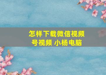 怎样下载微信视频号视频 小杨电脑