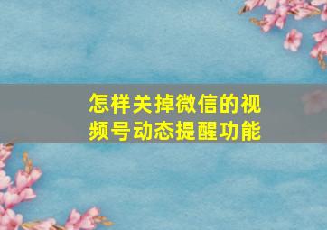 怎样关掉微信的视频号动态提醒功能