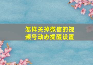 怎样关掉微信的视频号动态提醒设置