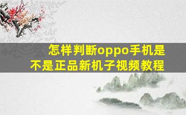 怎样判断oppo手机是不是正品新机子视频教程