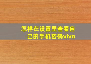 怎样在设置里查看自己的手机密码vivo