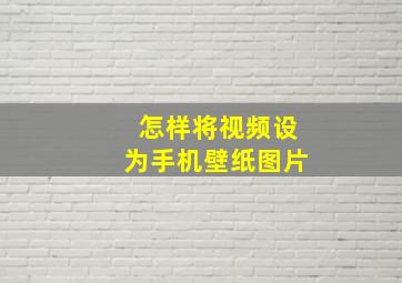 怎样将视频设为手机壁纸图片