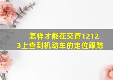 怎样才能在交管12123上查到机动车的定位跟踪