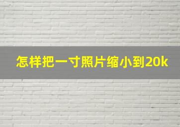 怎样把一寸照片缩小到20k