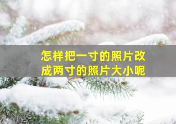 怎样把一寸的照片改成两寸的照片大小呢