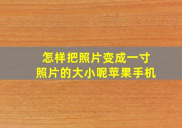 怎样把照片变成一寸照片的大小呢苹果手机