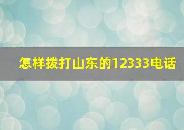 怎样拨打山东的12333电话