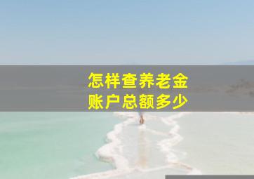 怎样查养老金账户总额多少