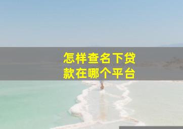 怎样查名下贷款在哪个平台