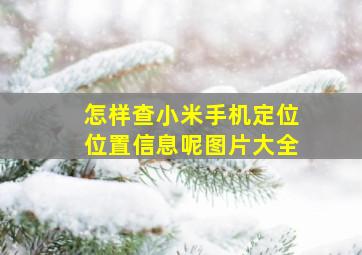 怎样查小米手机定位位置信息呢图片大全