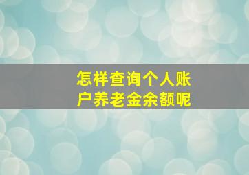 怎样查询个人账户养老金余额呢