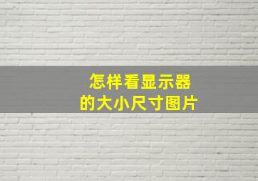 怎样看显示器的大小尺寸图片