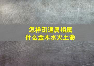 怎样知道属相属什么金木水火土命