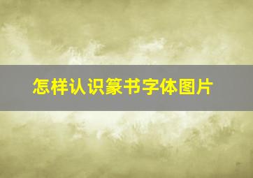 怎样认识篆书字体图片