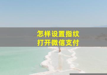 怎样设置指纹打开微信支付