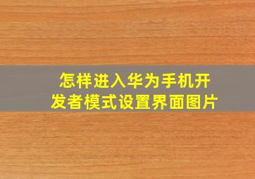 怎样进入华为手机开发者模式设置界面图片