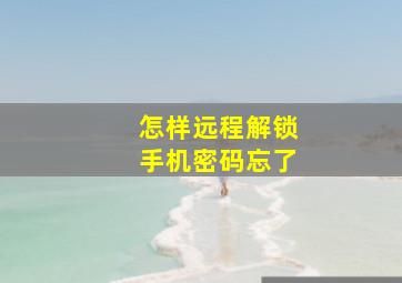 怎样远程解锁手机密码忘了