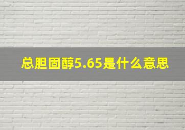 总胆固醇5.65是什么意思