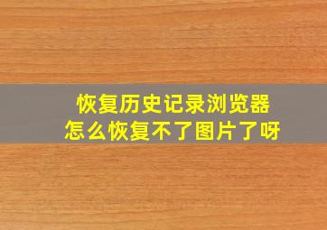 恢复历史记录浏览器怎么恢复不了图片了呀