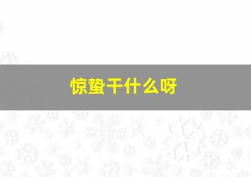 惊蛰干什么呀