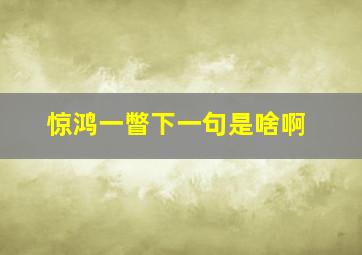 惊鸿一瞥下一句是啥啊