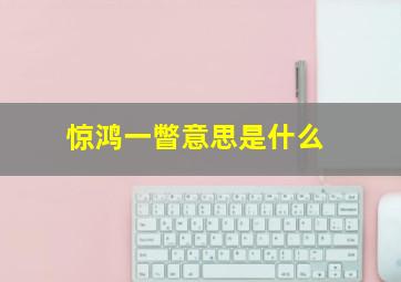 惊鸿一瞥意思是什么