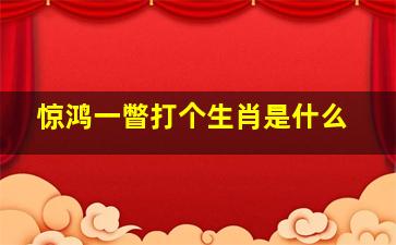 惊鸿一瞥打个生肖是什么