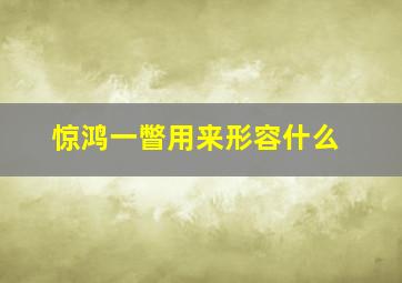 惊鸿一瞥用来形容什么