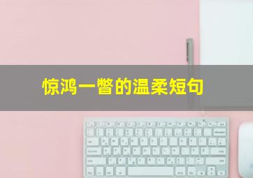 惊鸿一瞥的温柔短句