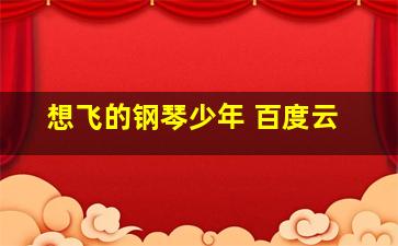 想飞的钢琴少年 百度云