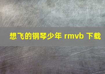 想飞的钢琴少年 rmvb 下载