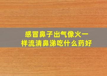 感冒鼻子出气像火一样流清鼻涕吃什么药好