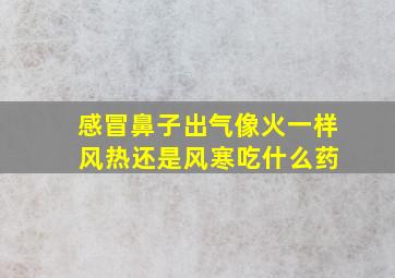 感冒鼻子出气像火一样 风热还是风寒吃什么药