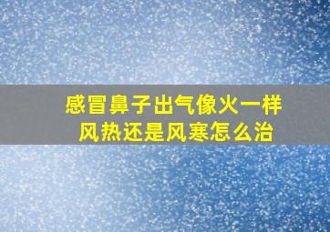 感冒鼻子出气像火一样 风热还是风寒怎么治