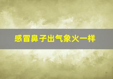 感冒鼻子出气象火一样