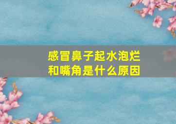 感冒鼻子起水泡烂和嘴角是什么原因