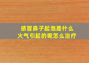 感冒鼻子起泡是什么火气引起的呢怎么治疗