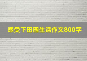 感受下田园生活作文800字