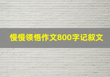 慢慢领悟作文800字记叙文