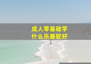 成人零基础学什么乐器较好