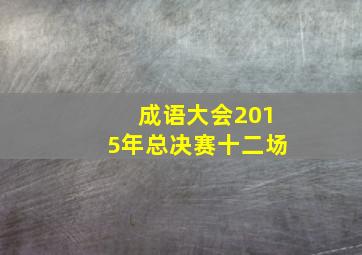 成语大会2015年总决赛十二场