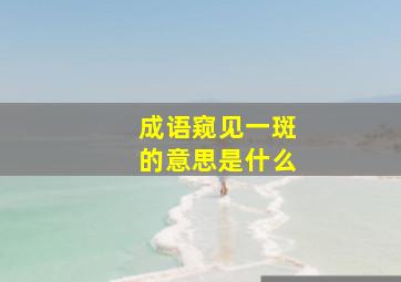 成语窥见一斑的意思是什么