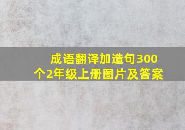 成语翻译加造句300个2年级上册图片及答案