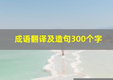 成语翻译及造句300个字