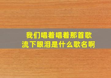 我们唱着唱着那首歌流下眼泪是什么歌名啊