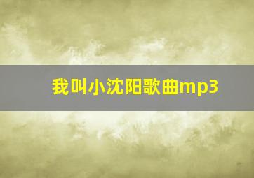 我叫小沈阳歌曲mp3