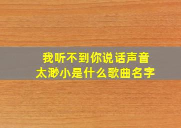 我听不到你说话声音太渺小是什么歌曲名字