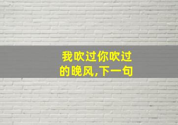 我吹过你吹过的晚风,下一句